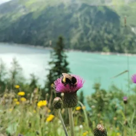 Haus Dora 2 Penken アパート *