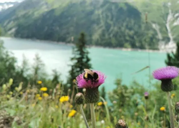 Haus Dora 2 Penken Апартаменти *